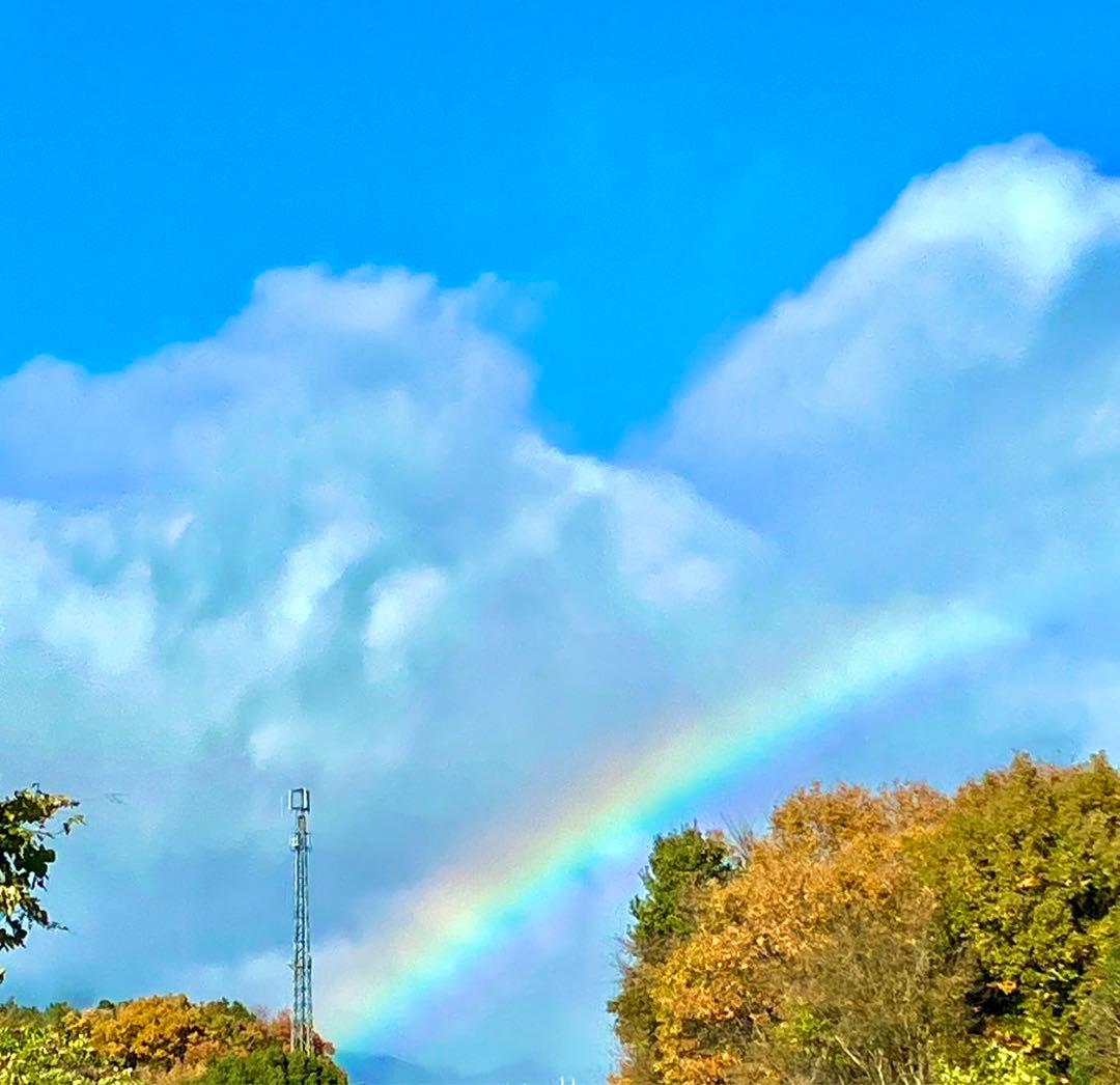 確認用　大雪ドライブ　長浜城　愛犬　玉玉　トラ
