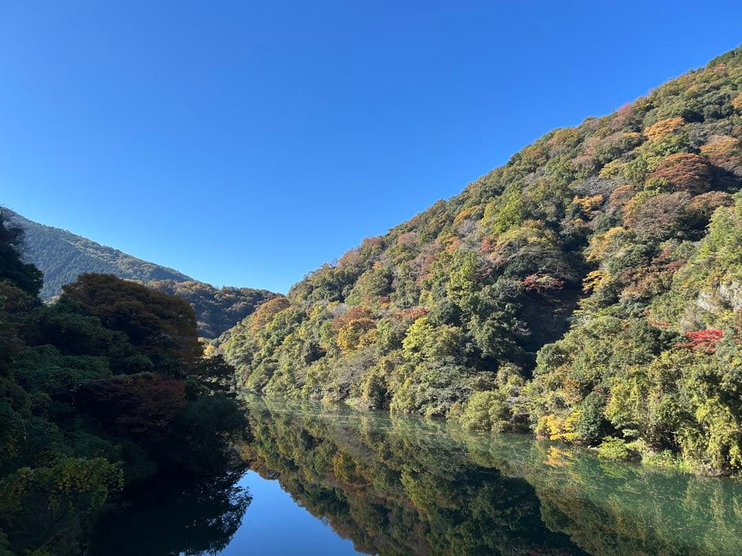 確認用　大雪ドライブ　長浜城　愛犬　玉玉　トラ
