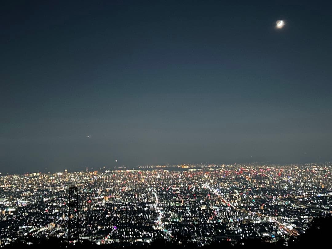 確認用　大雪ドライブ　長浜城　愛犬　玉玉　トラ