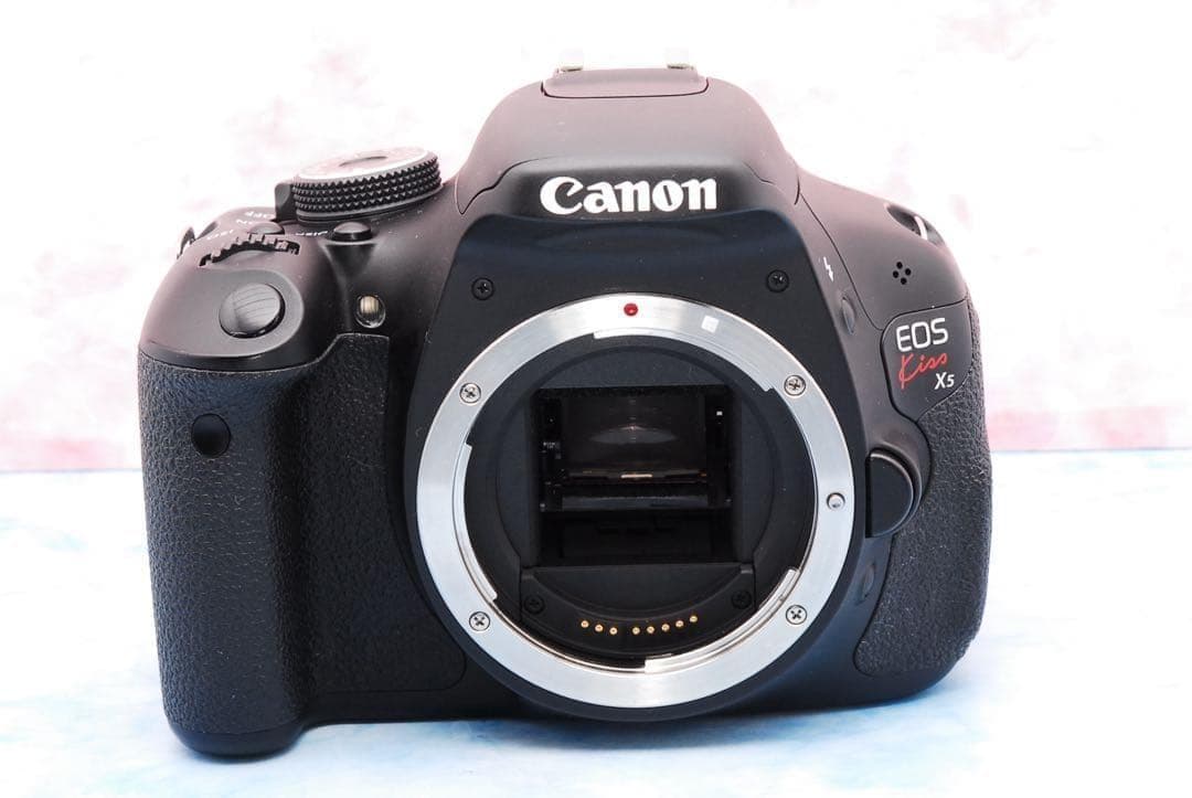 Canon EOS Kiss X5★S数少★Wレンズ＆バッグ★一眼レフカメラ