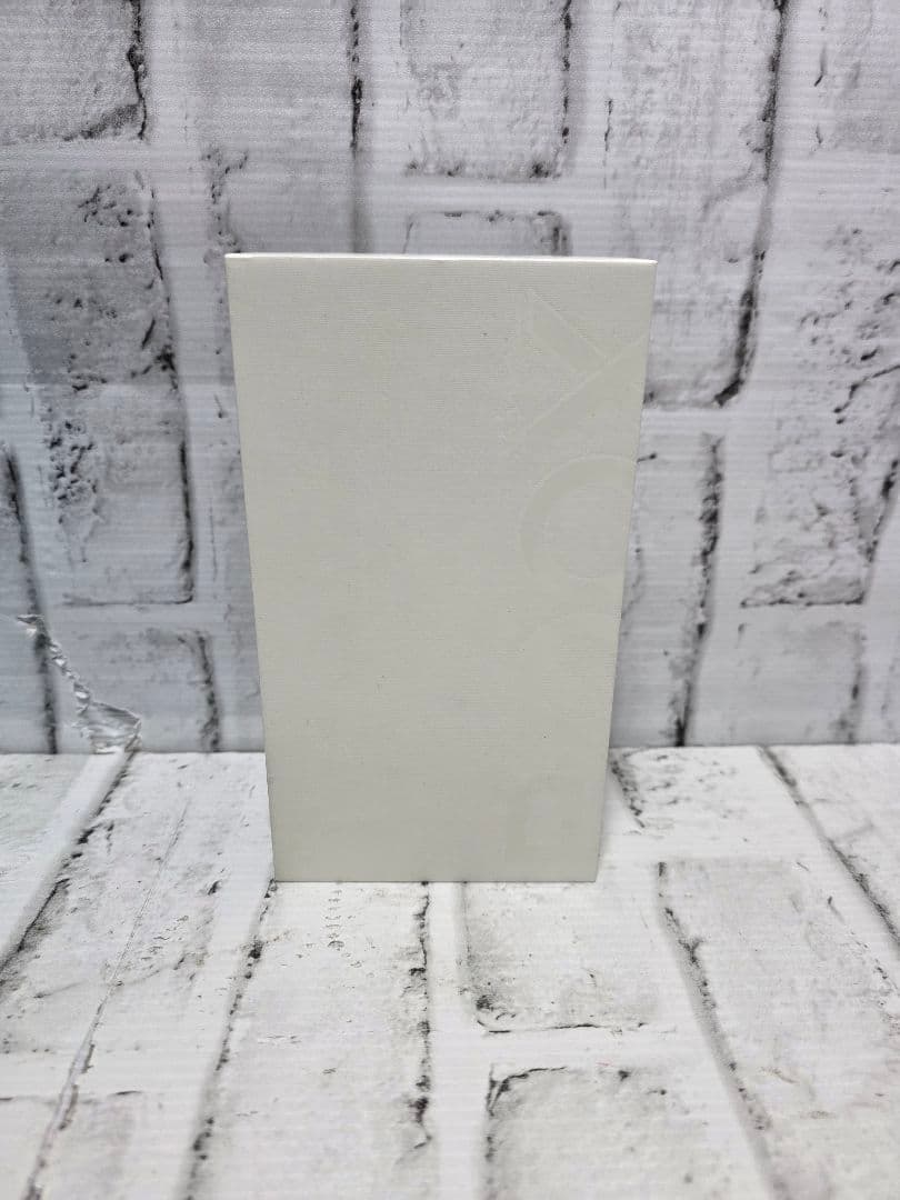 BOOX Palma電子書籍リーダー 本体 ホワイト