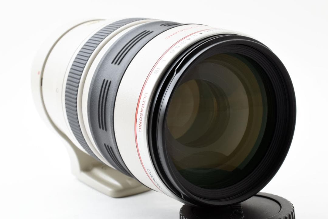 レンズ(ズーム) 14919 Canon EF100-400mm F4.5-5.6L IS USM