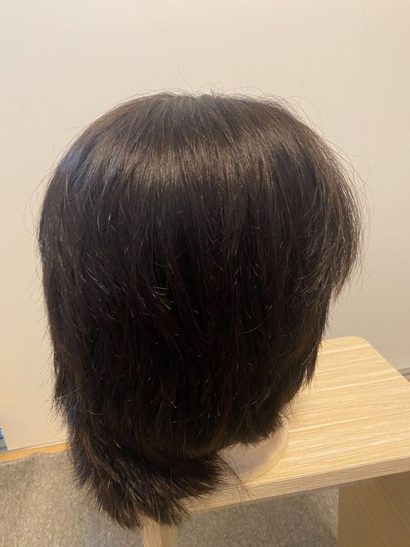 バラ売り可！！国試ウィッグ仕込済