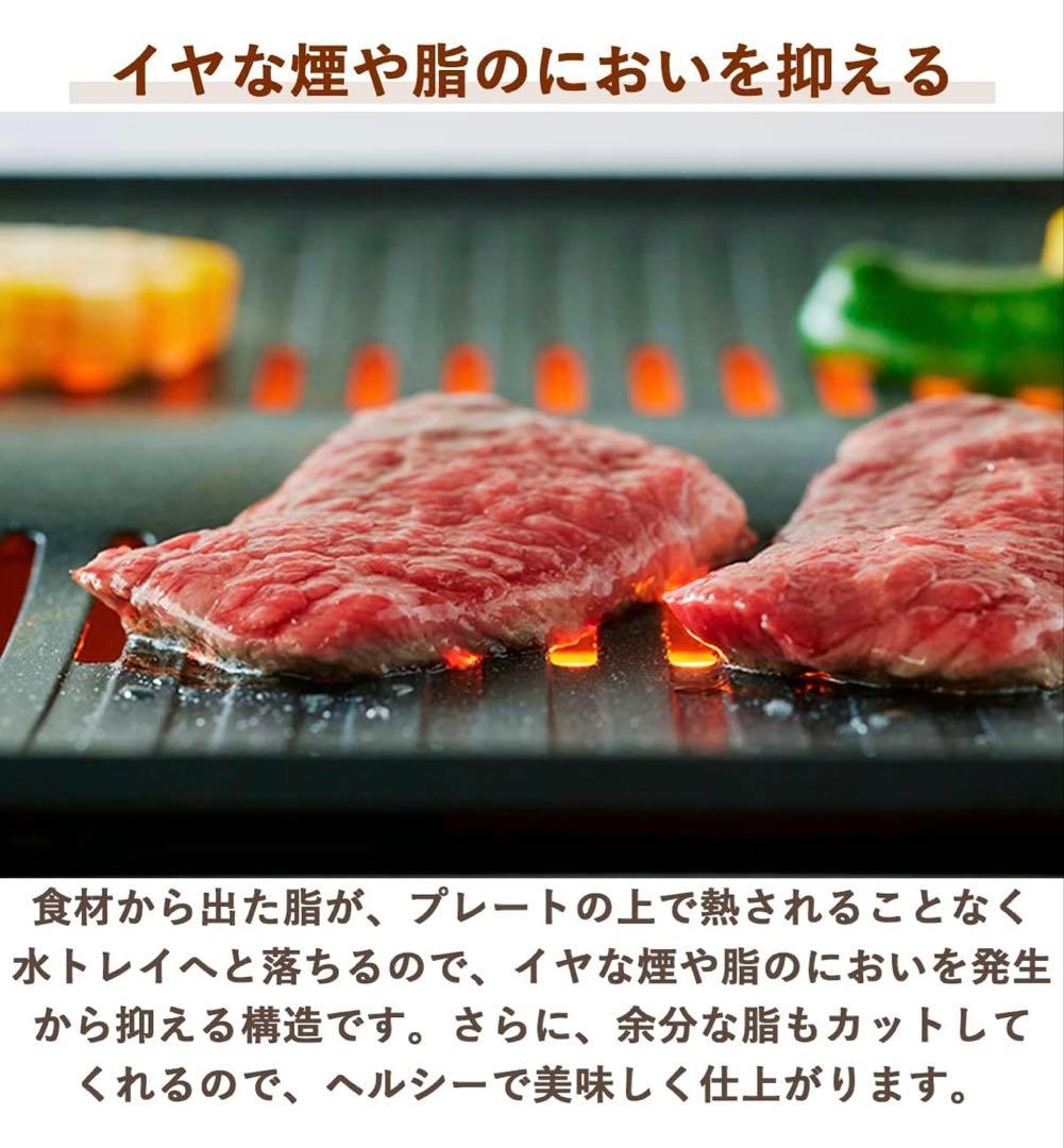 アラジン グラファイト ミニグリラー ホットプレート グリルプレート