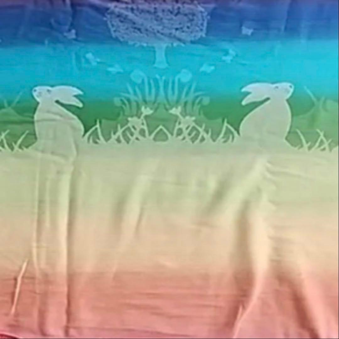 【希少品】ディディモス イースターレインボー サイズ6