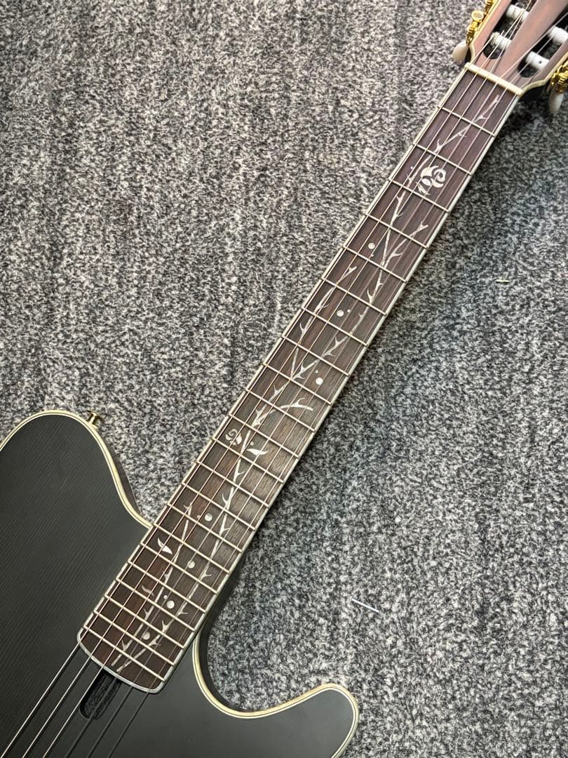 ibanez TOD10N ティム・ヘンソン　新ロゴ　エレガット