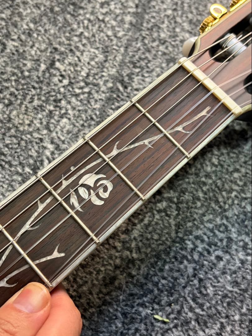 ibanez TOD10N ティム・ヘンソン　新ロゴ　エレガット