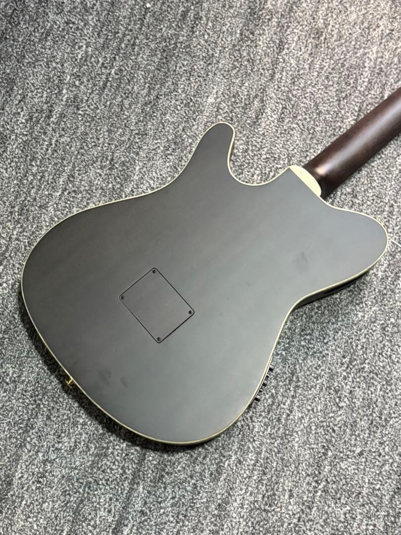 ibanez TOD10N ティム・ヘンソン　新ロゴ　エレガット