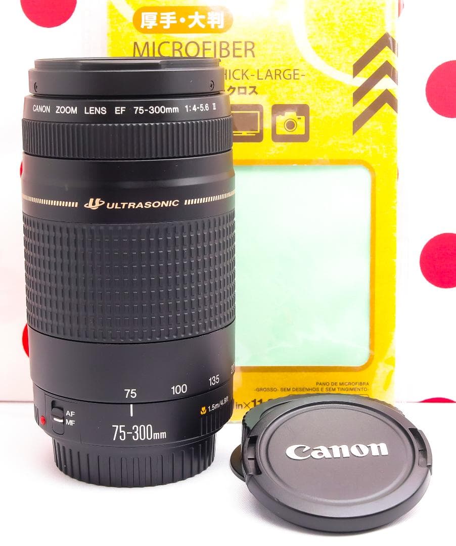 Canon EF 75-300mm USM❤超望遠レンズ❤canon純正レンズ
