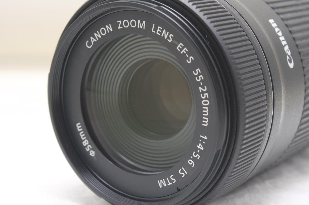 キヤノン EF-S 55-250mm F4-5.6 IS STM 7970