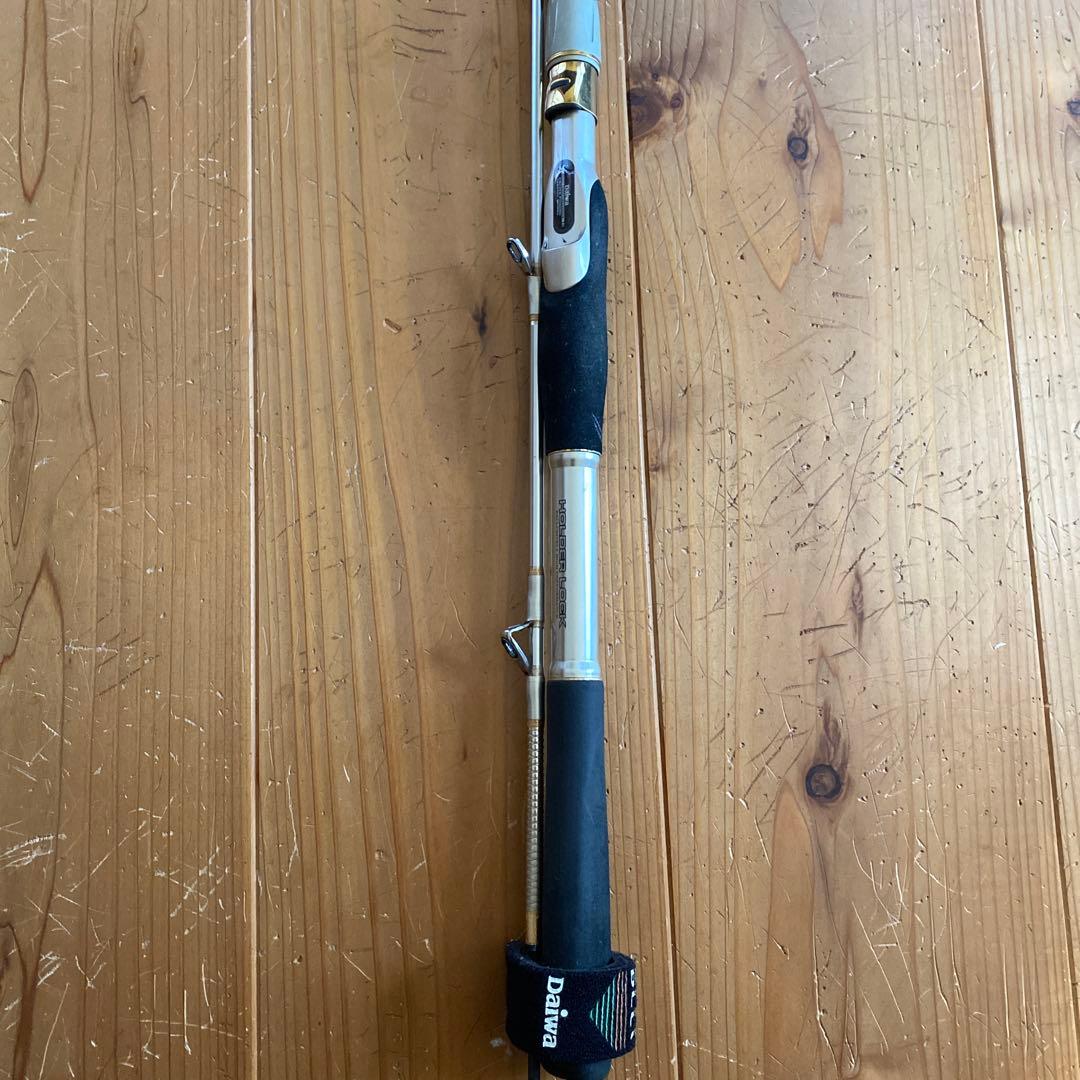 Daiwa RHEOMASTER 真鯛360 リーオマスター