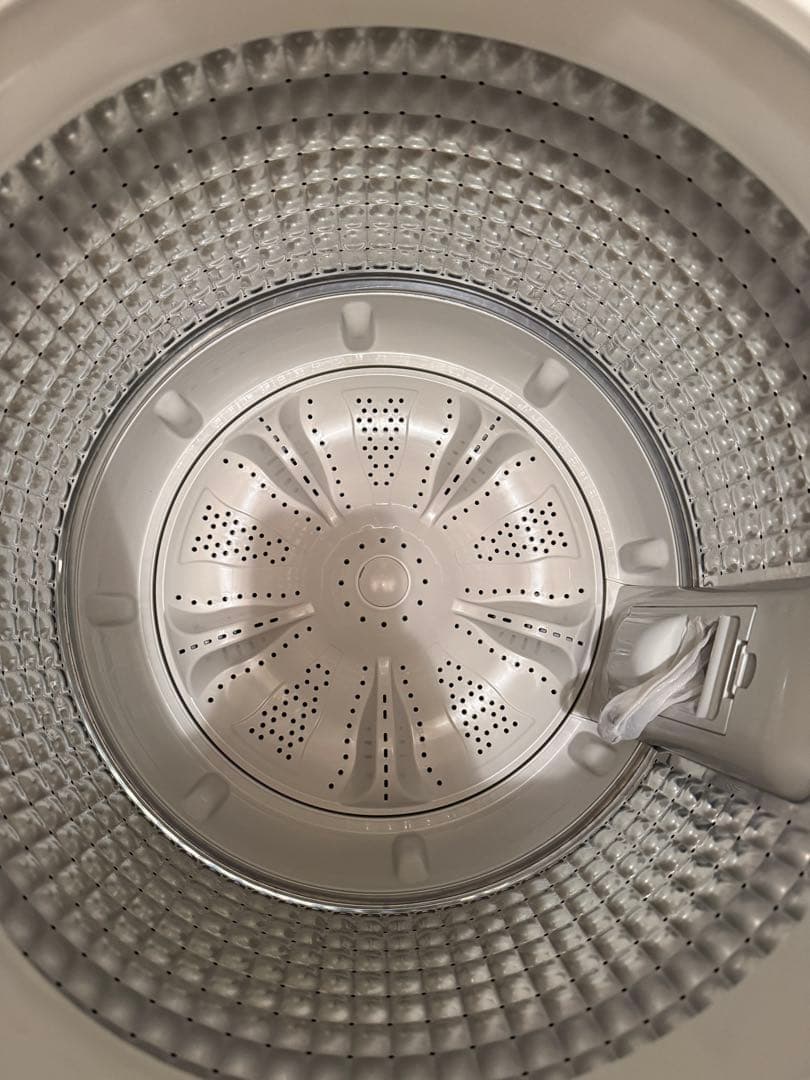 洗濯機 一人暮らし 5.5kg 縦型