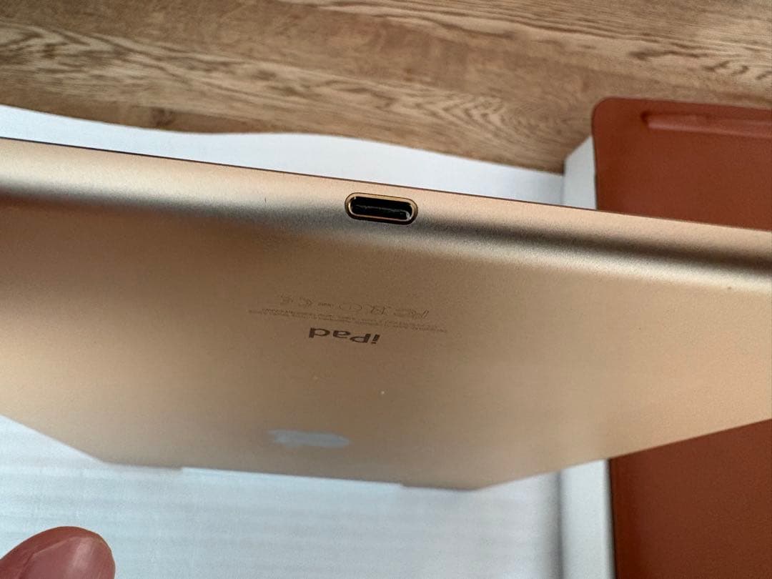 iPad Pro(第一世代/Wi-Fi+Cellular/ゴールド) 、その他