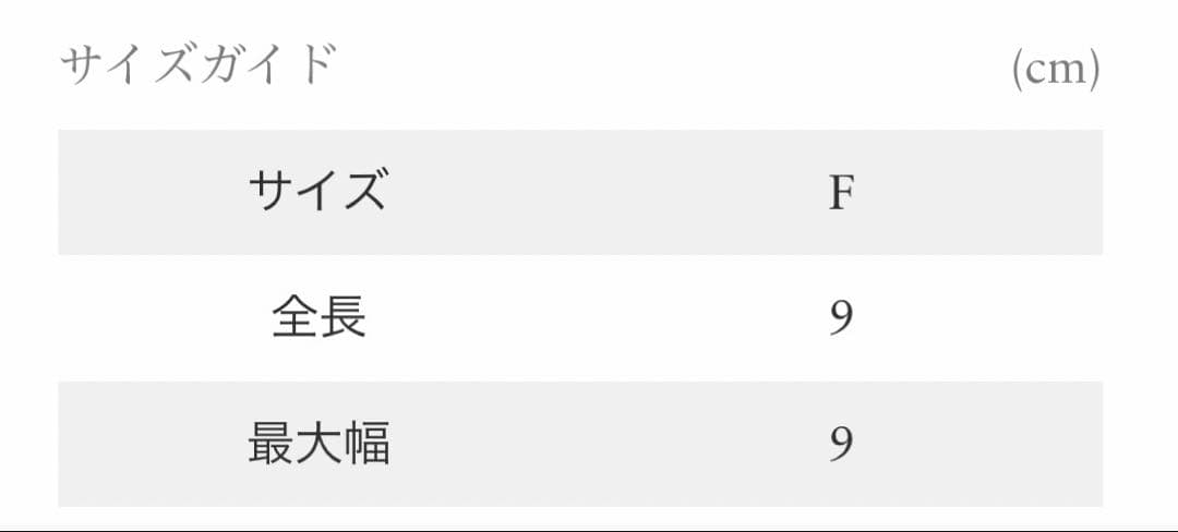 【新品】ロンハーマン別注　アンヌマリー ヘルケス ジャケット&カメラブローチ