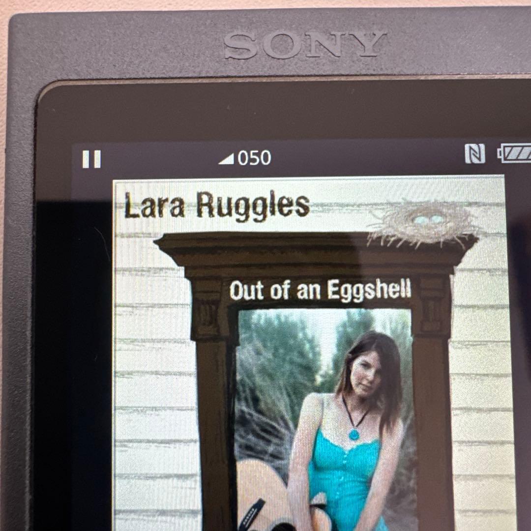 ソニー ウォークマン Aシリーズ NW-A45 2017年モデル ブルー