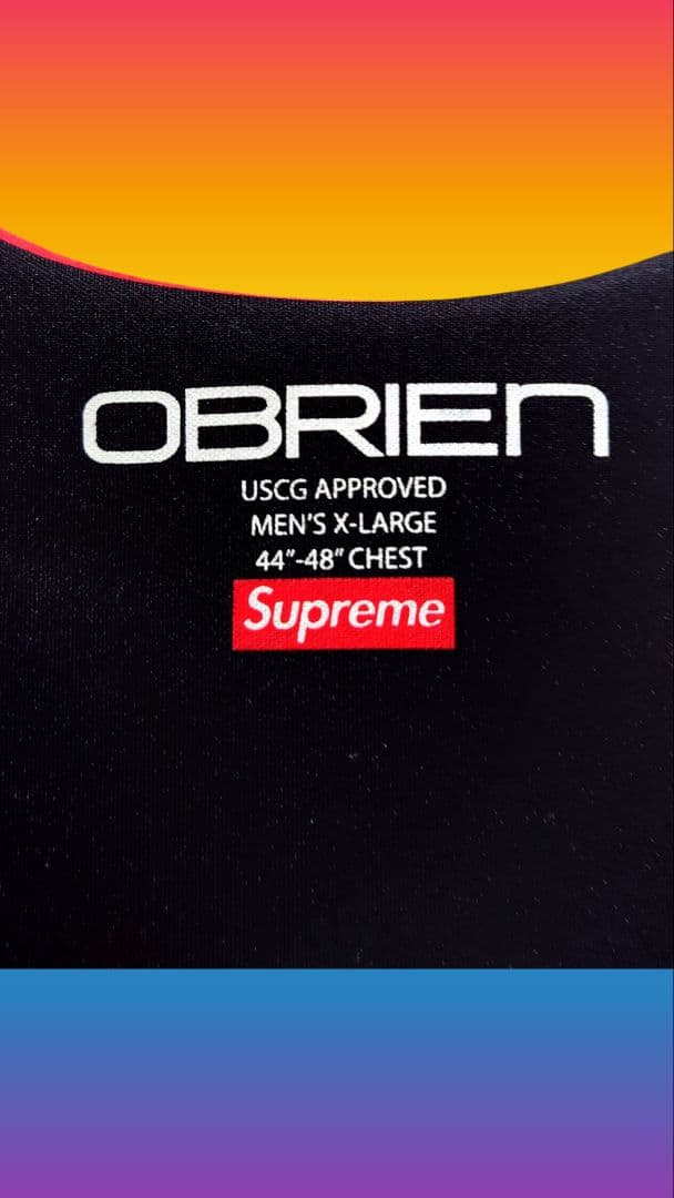Supreme life jacket、シュプリーム、ライフジャケット、釣ダウン