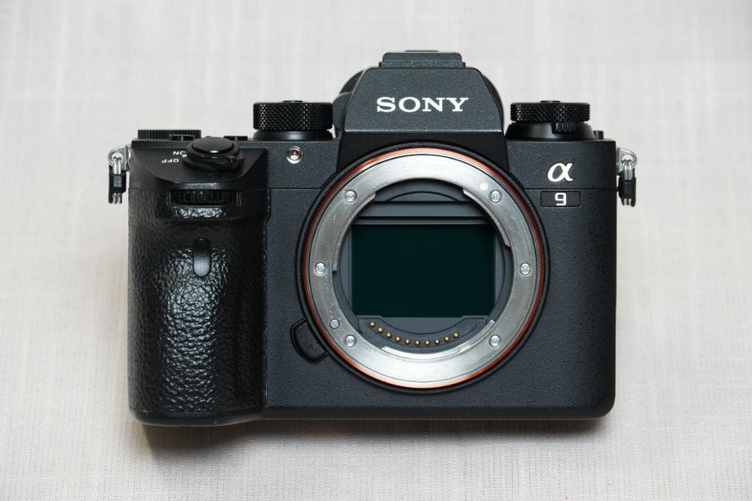 手羽先さん専用