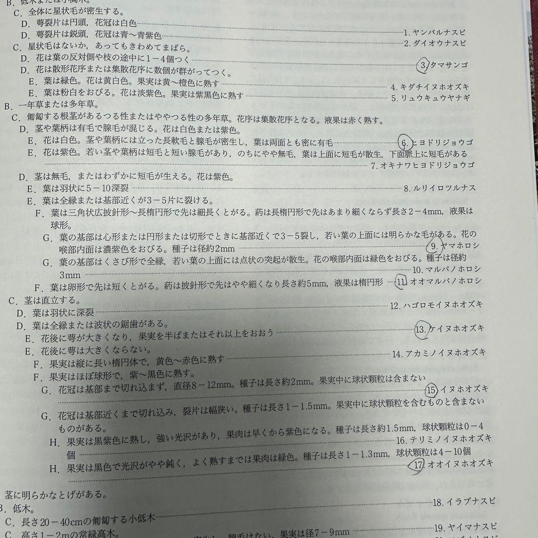 【平凡社】全5巻『改訂新版 日本の野生植物』+総索引