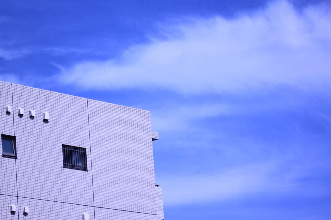 デジタルカメラ Canon EF 100-400mm f/4.5-5.6L IS USM