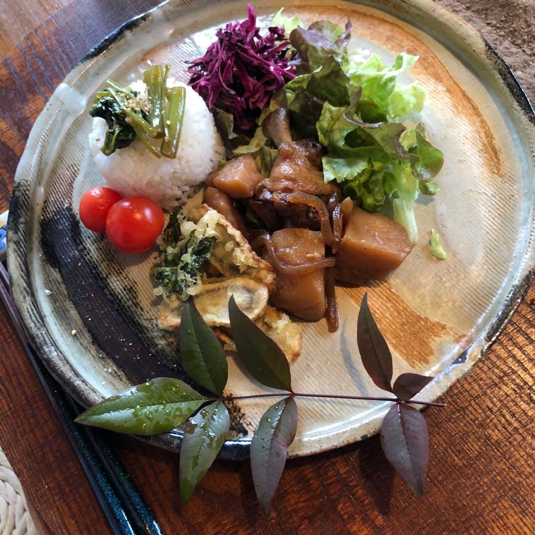 うつわ彩りセット￼