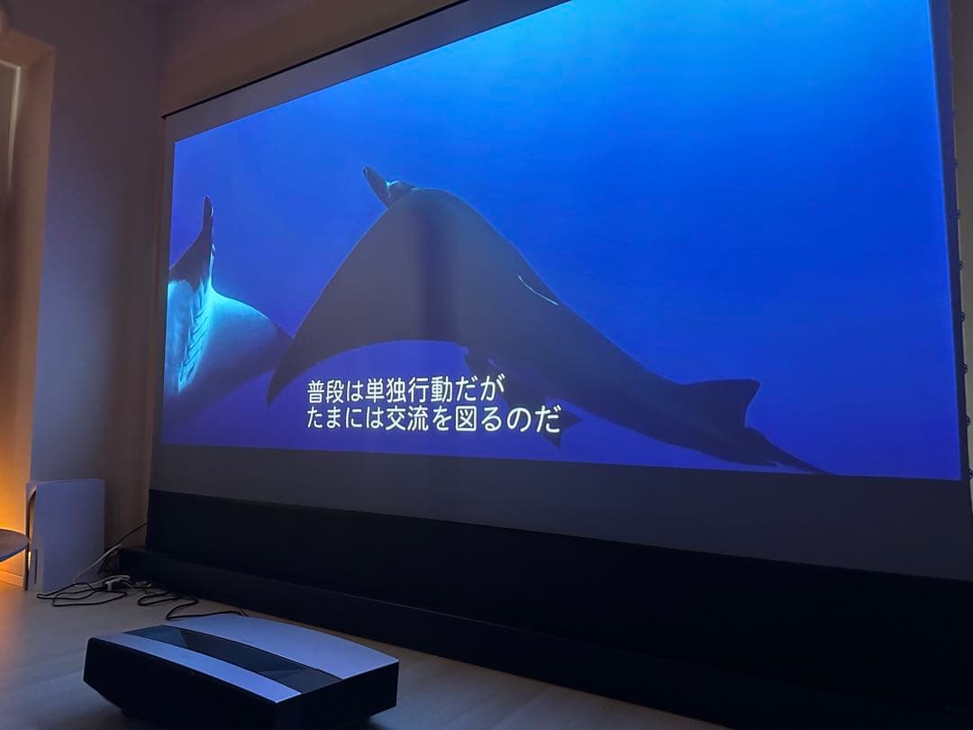 vividstorm 120インチ　定価30万　超短焦点用スクリーン