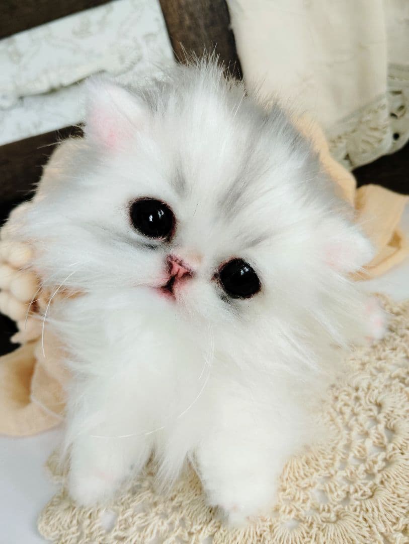 チンチラシルバー♡子猫のくるみちゃん♡アートドール♡ぬいぐるみ♡