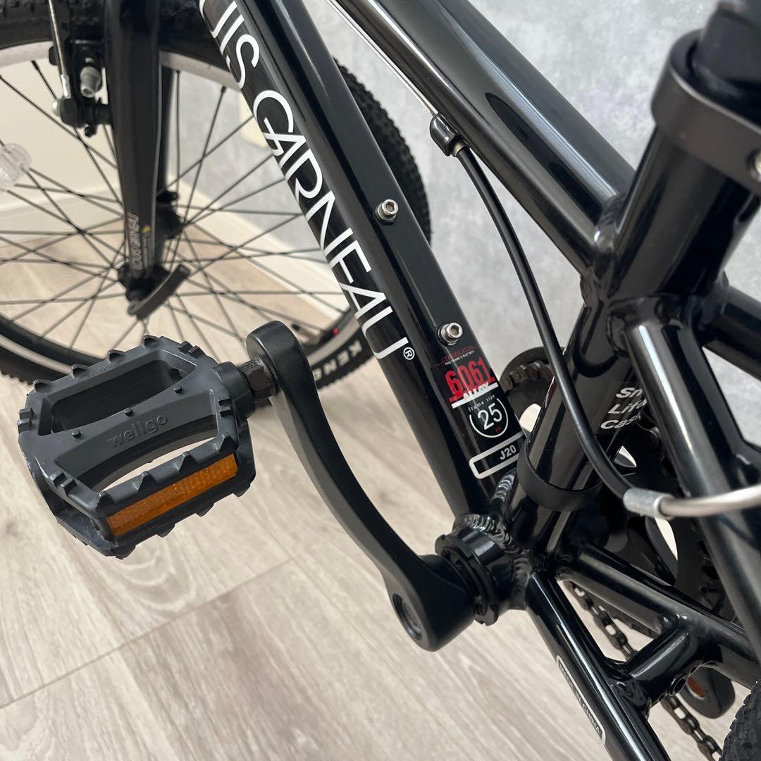 【引取り希望】ルイガノ ジュニアスポーツバイク 20インチ ブラック