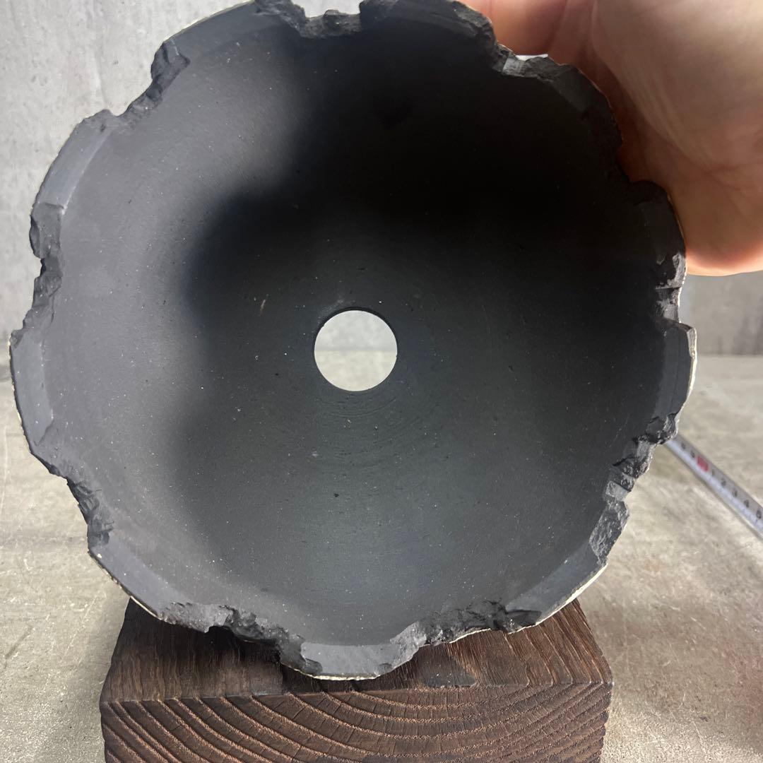 ぐり 樣專用手作植木鉢 検（ 塊根植物 グラキリス パキプス アガベ)