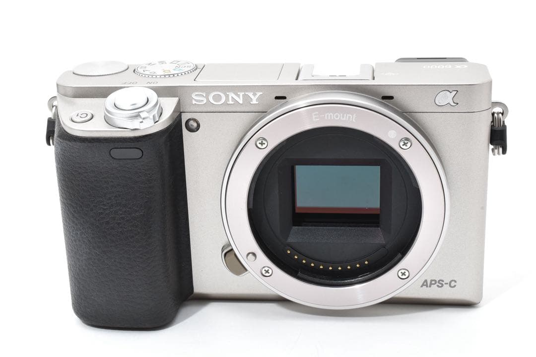 【極美品】ソニー SONY a6000 ダブルズームキット ミラーレス一眼カメラ