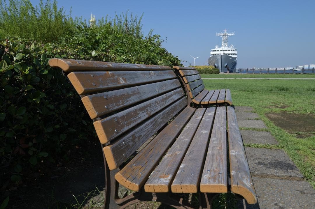 シャッター回数【65枚】Nikon デジタル一眼レフカメラ D780 ボディ