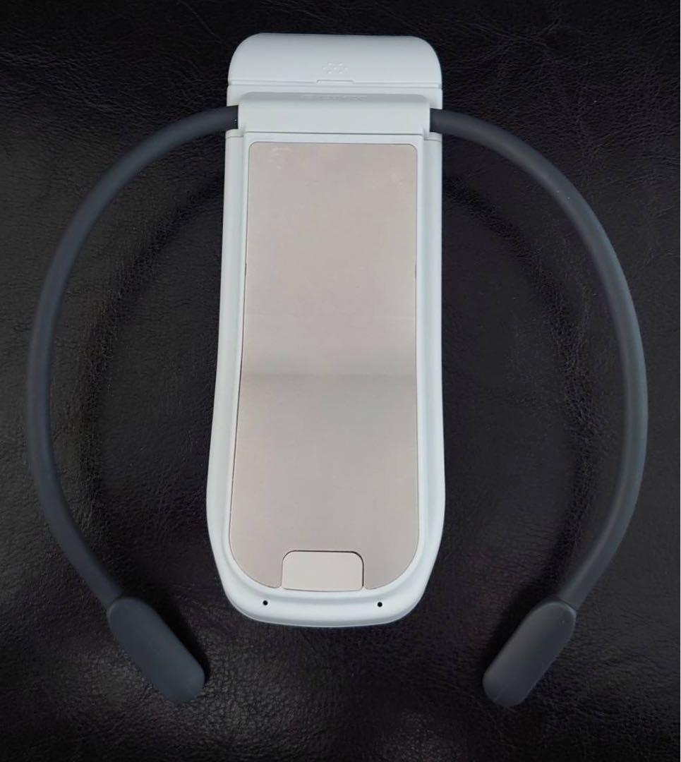 【美品】SONY REON POCKET PRO RNPK-P1