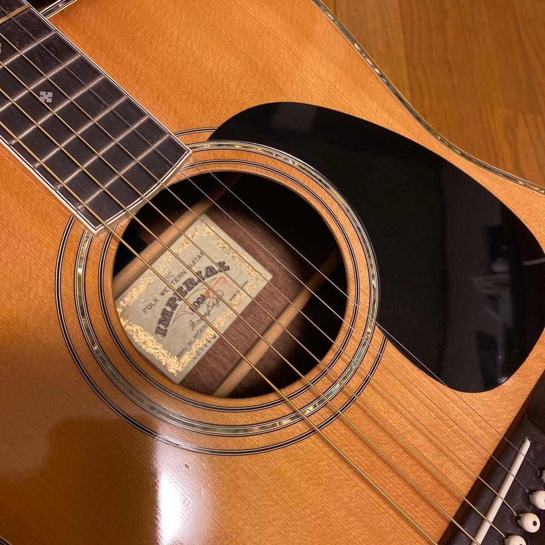 ハカランダ、古賀ギター、バードケース、ピックアップ付き、ビンテージ稼働品