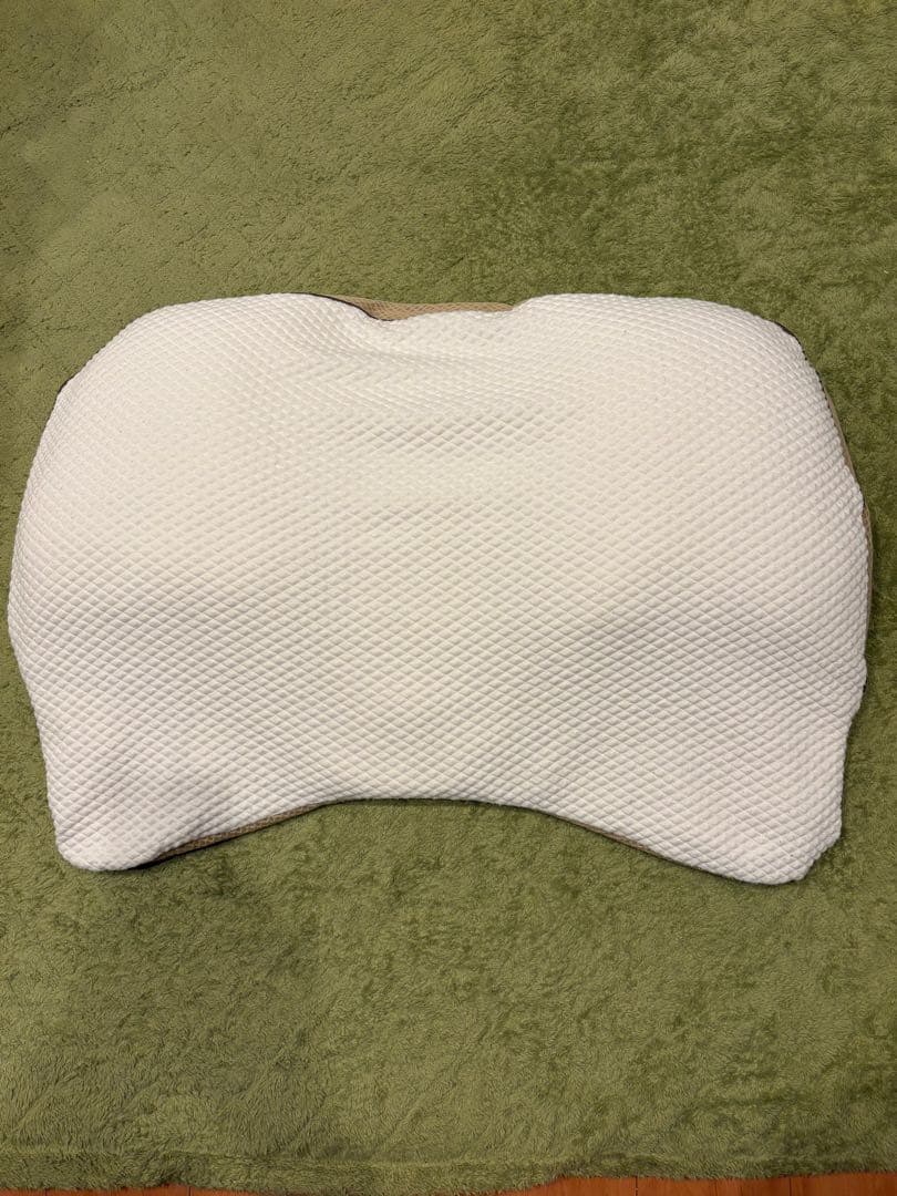 ⭐️新春特価です⭐️ギガまくら　昭和西川