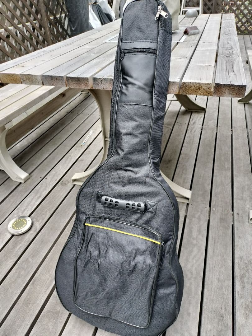 ☆美品☆Gibson　Doveモデル　Aria Custom 製造番号0067！