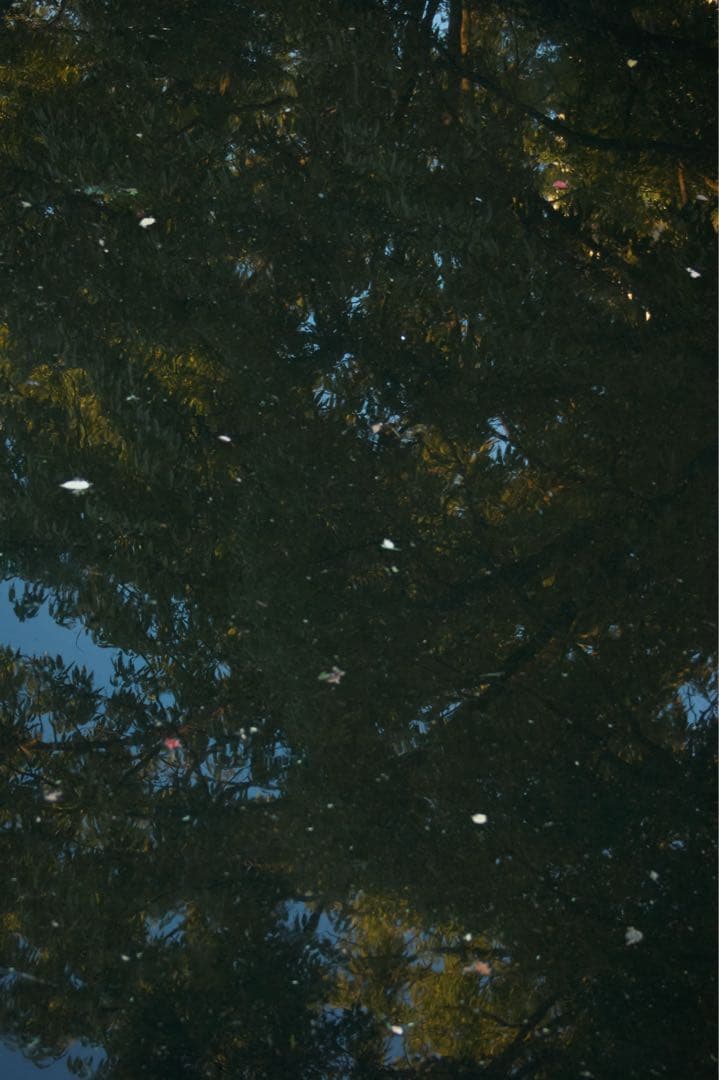 【一眼レフデビューにおすすめ！！】SONY α350 初心者セット【作例付き】