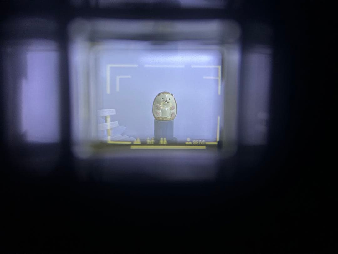 Nikon ニコン L35AWAF ピカイチカリブ　動作品 コンパクトカメラ美品