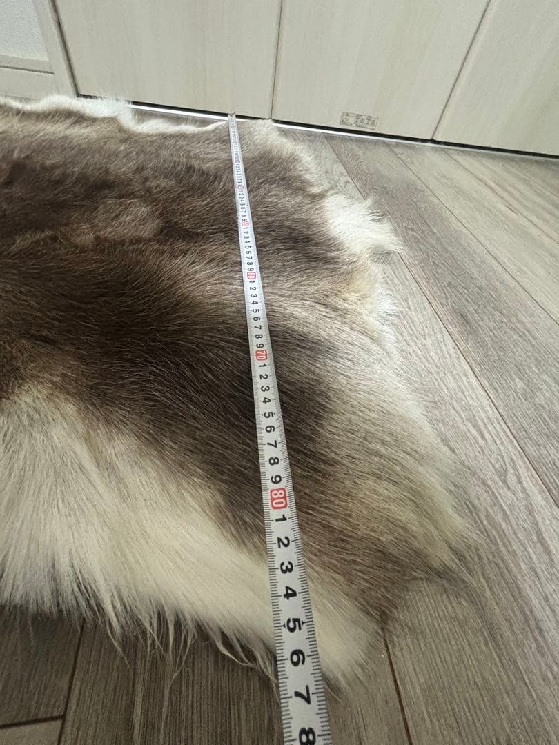 フィンランド産トナカイ　毛皮　防水仕様