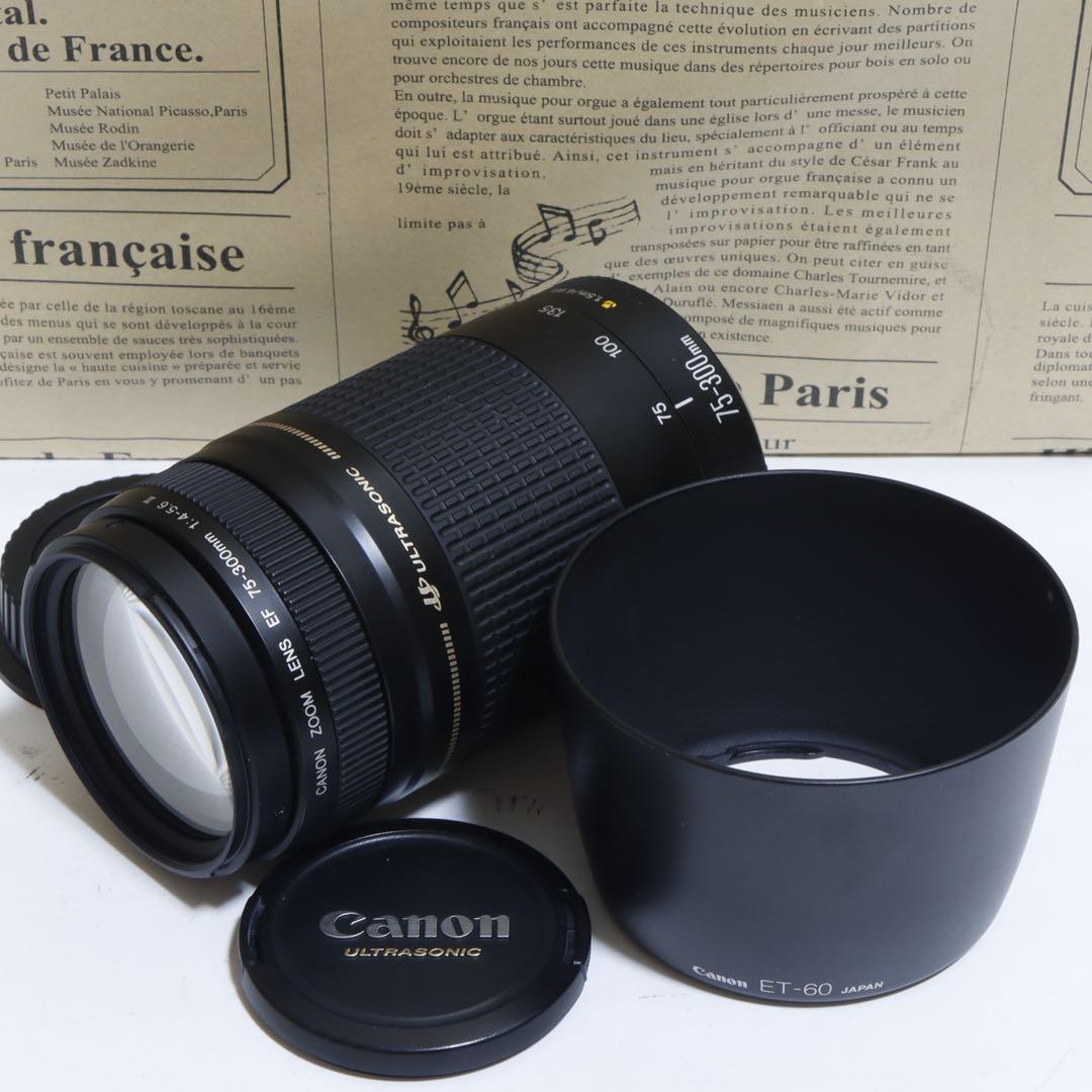 ◇超望遠&高速AF◇Canon純正 75-300mm II型 超望遠レンズ!!◇