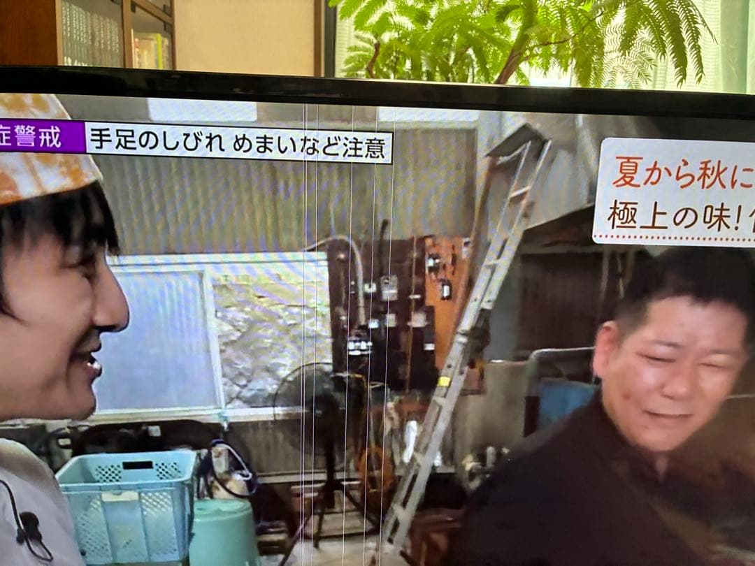 ジャンク扱い パナソニック43型 4k液晶テレビVIERA TH-43GX500