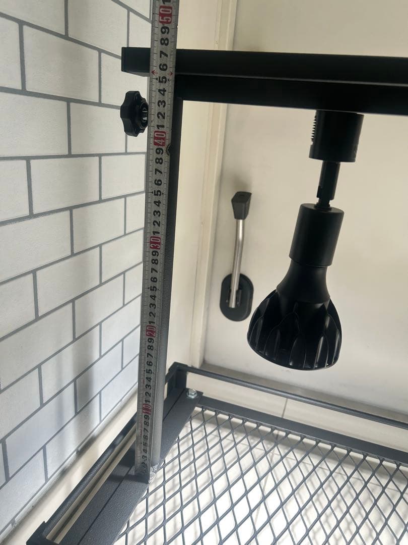 植物棚　アガベ　シーザー　ハデス　パキプス　グラキリス　白鯨　サボテン　塊根植物