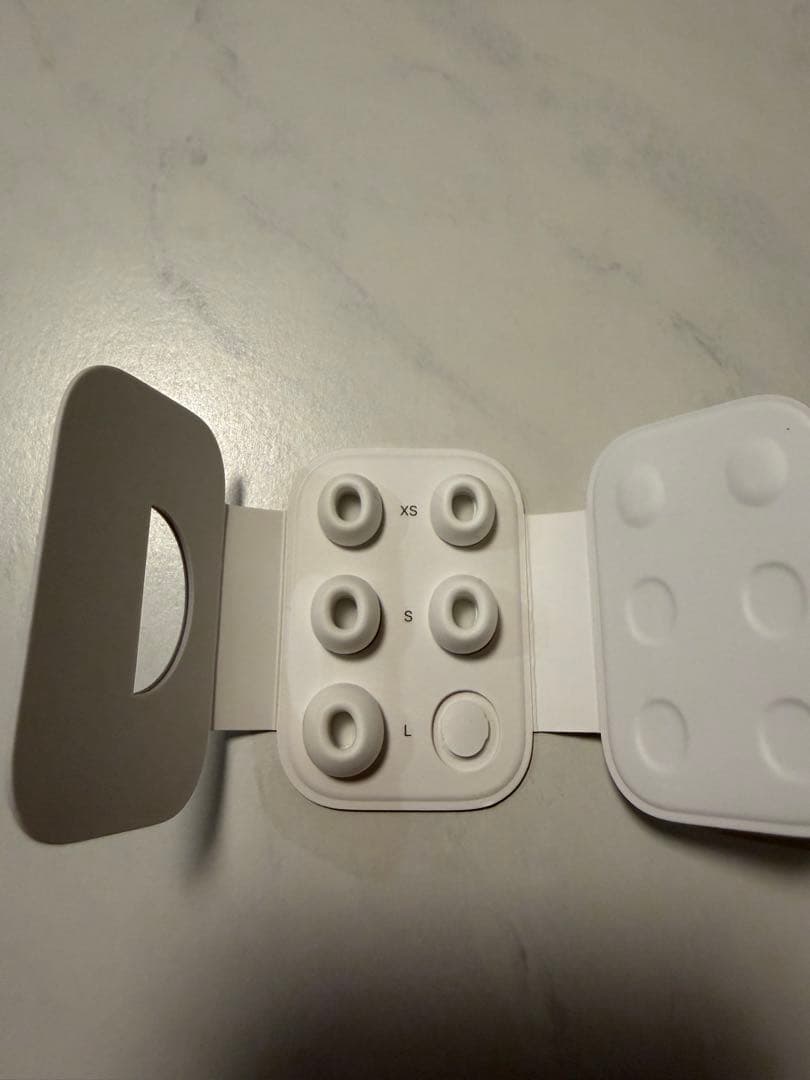 AirPods Pro（第2世代）本体＋Lightning充電ケース