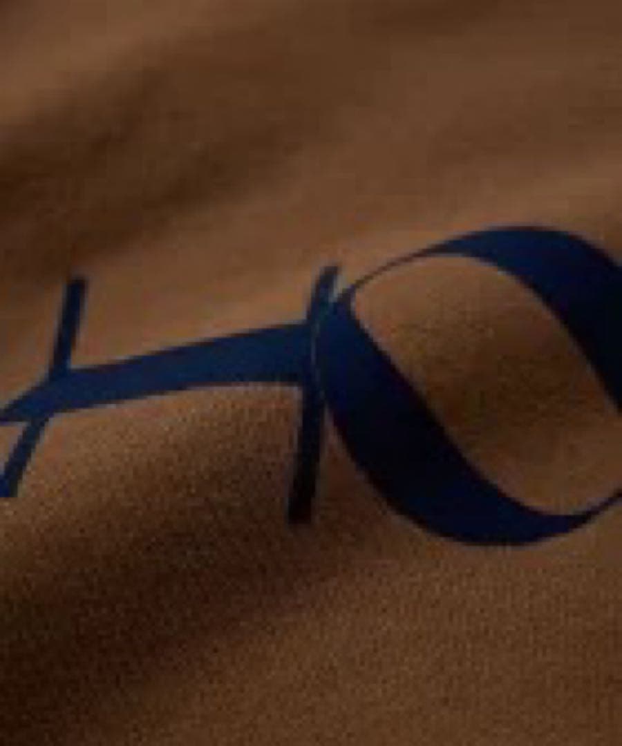 フロッキーロゴスウェット