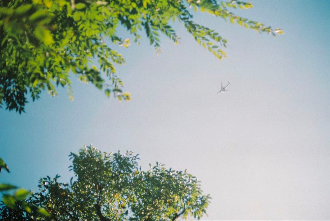 完動品、 整備済◉ Olympus PEN-FT 単焦点レンズ付き ハーフカメラ