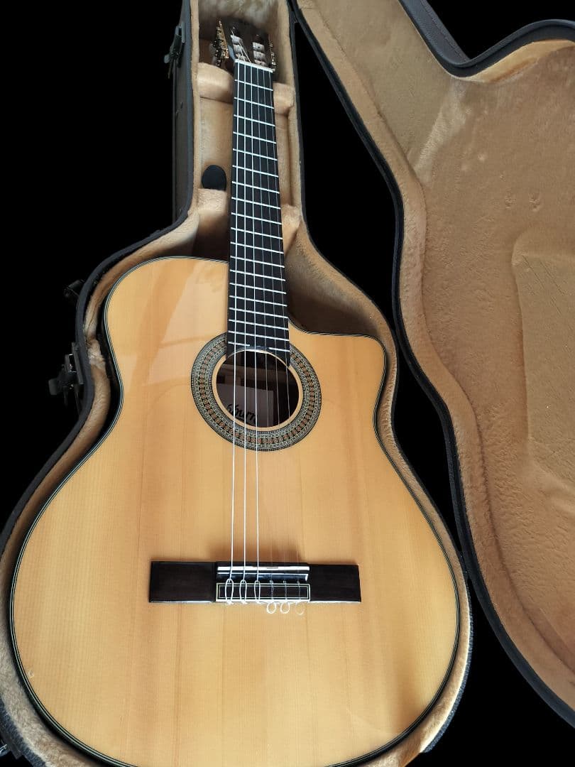 本日迄★エレガットギター★ワッシュバーン Washburn C64SCE★