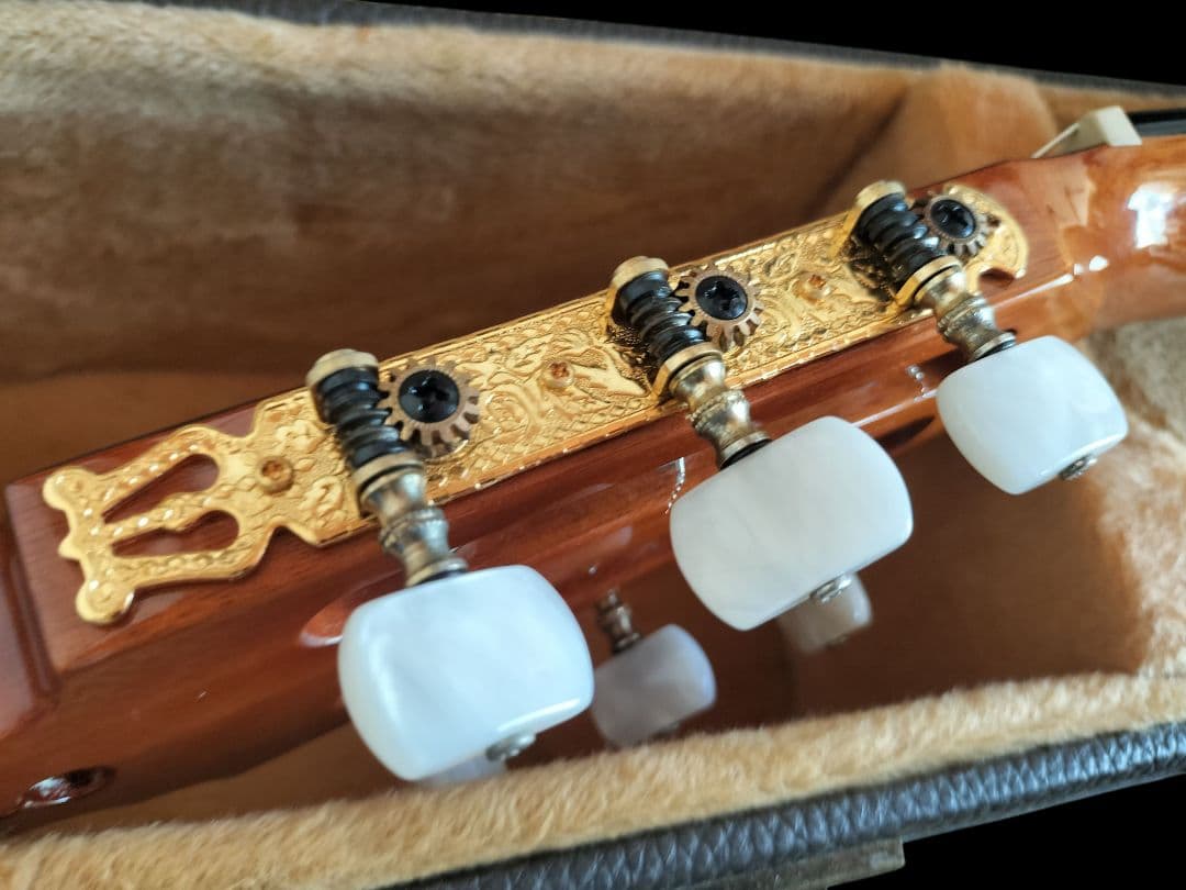 本日迄★エレガットギター★ワッシュバーン Washburn C64SCE★