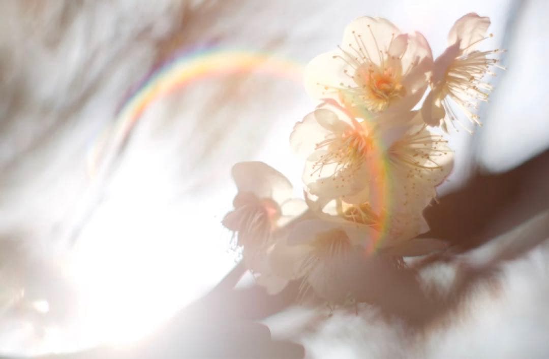 【美品】Super Takumar 55mm f1.8 前期型　m42マウント