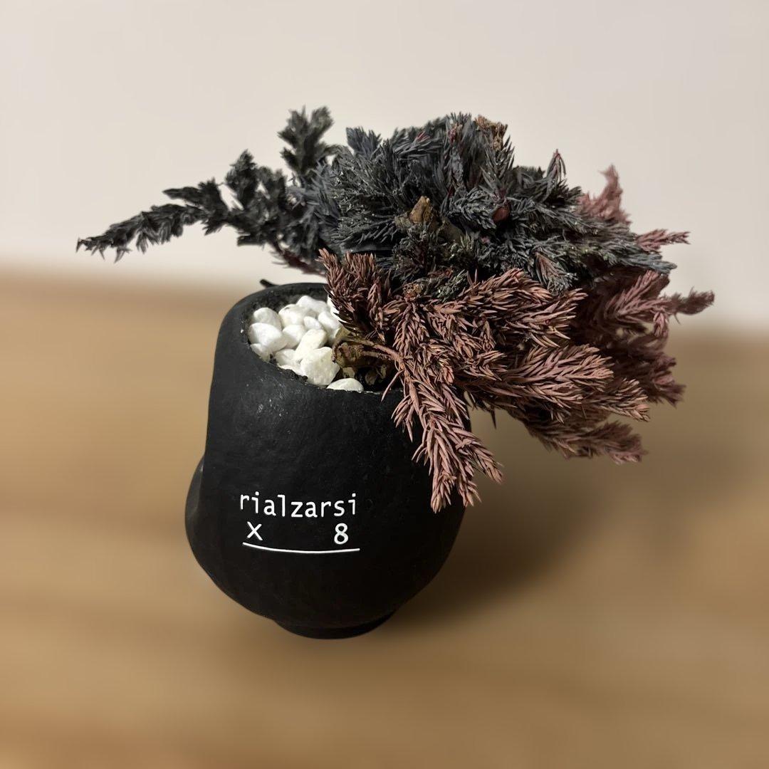 re盆栽　ドライ盆栽　達磨　TOUFU東京