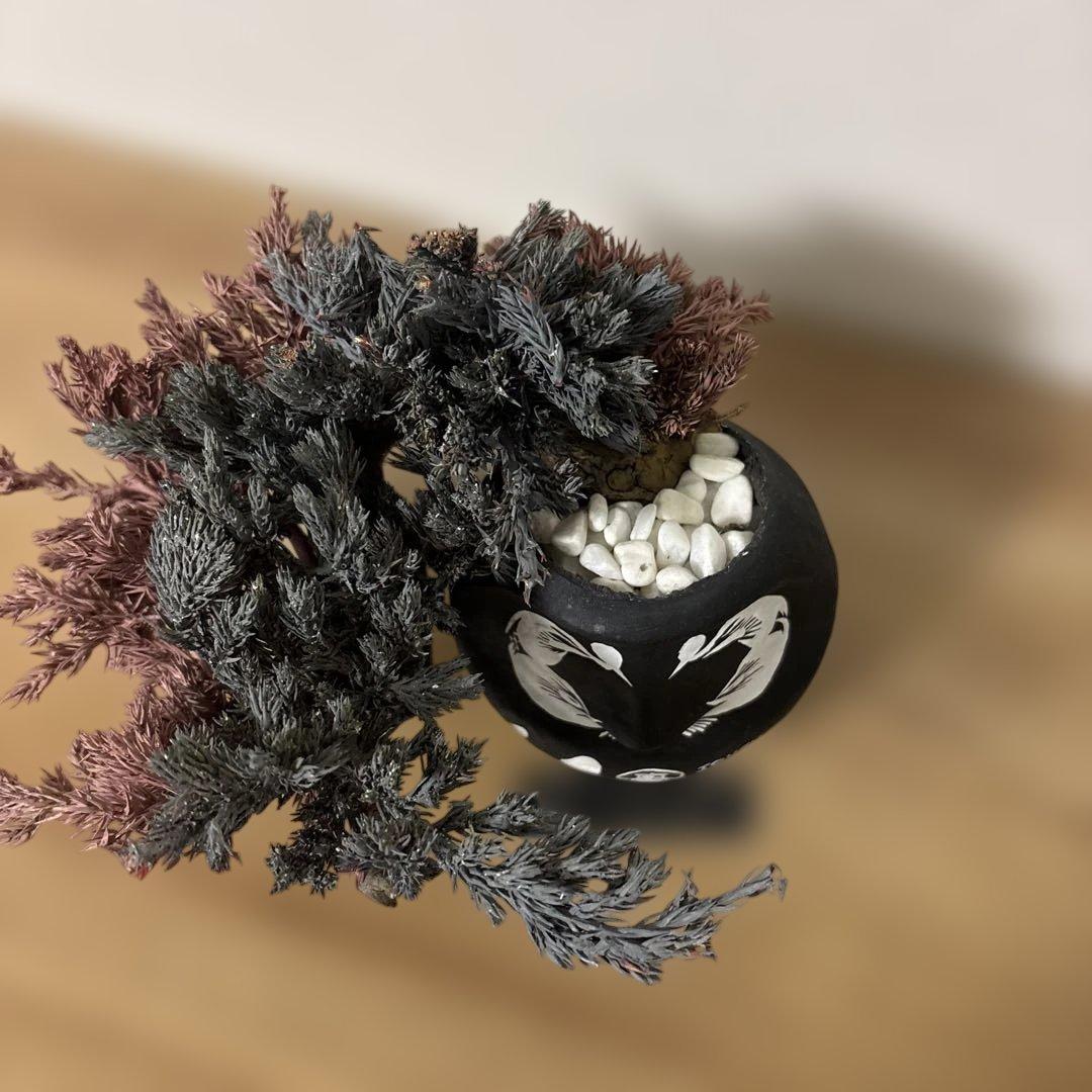 re盆栽　ドライ盆栽　達磨　TOUFU東京