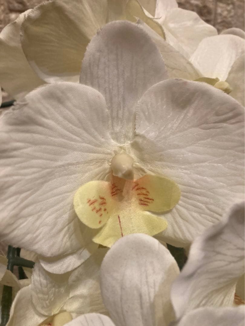 光触媒　人工観葉植物　ウォールグリーン　フェイクグリーン　胡蝶蘭10本.w