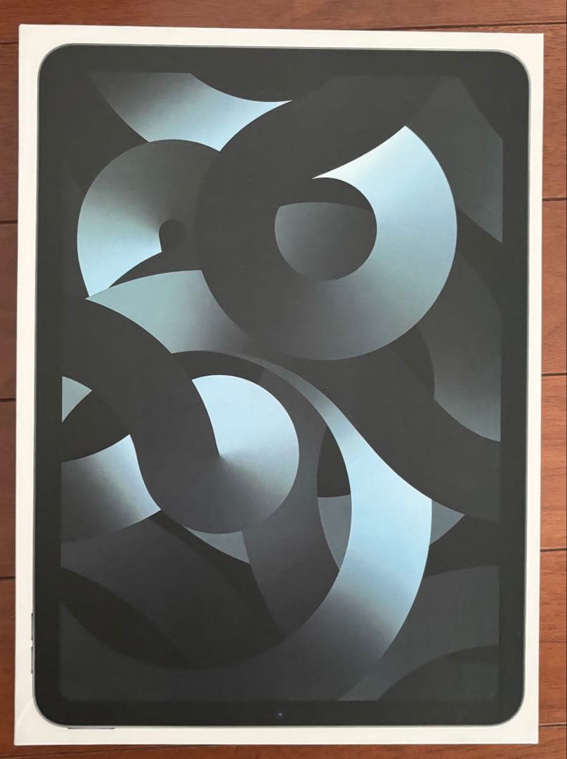 iPad本体 Apple iPad Air 5th 256G